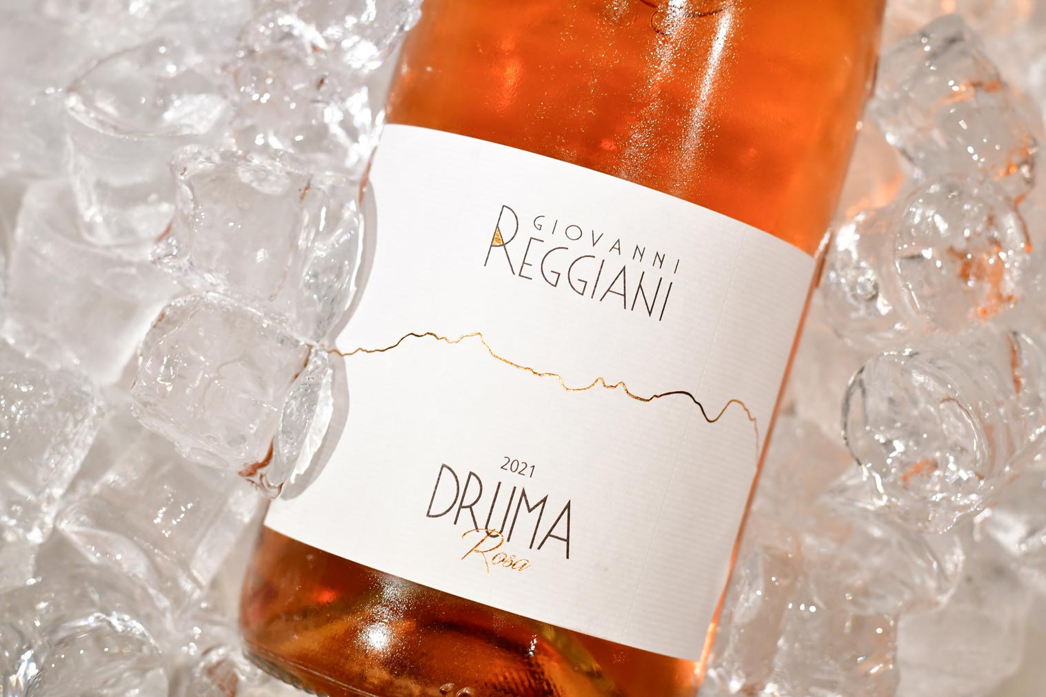 Druma Rosa
